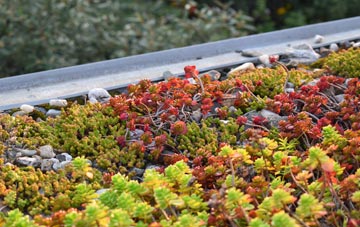 the cost of Friar Park green roof installation