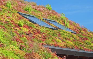 Friar Park living roof systems